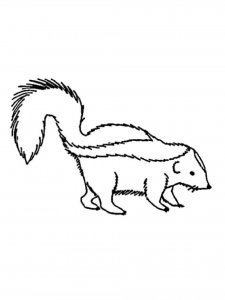 Skunk coloring page - picture 4
