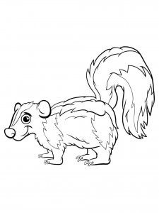 Skunk coloring page - picture 5