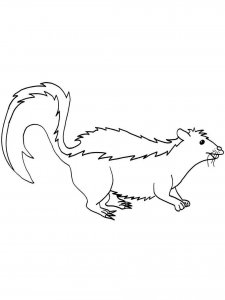 Skunk coloring page - picture 7