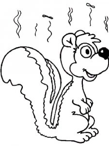 Skunk coloring page - picture 9