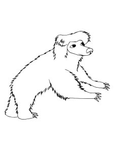 Sloth Bear coloring page - picture 3