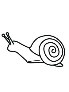 Snail coloring page - picture 3