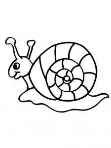 Snail coloring page - picture 53