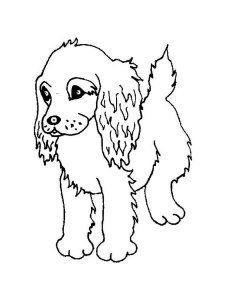 Spaniel coloring page - picture 10