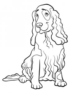 Spaniel coloring page - picture 13