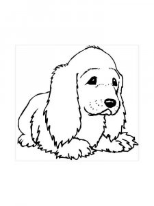 Spaniel coloring page - picture 16