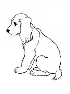 Spaniel coloring page - picture 17