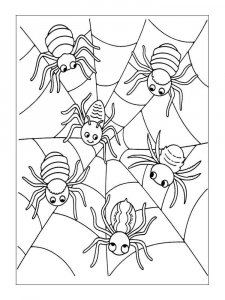 Spider coloring page - picture 22