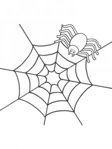 Spider coloring page - picture 29