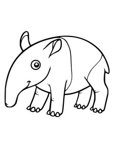 Tapir coloring page - picture 12