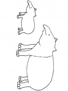 Tapir coloring page - picture 14
