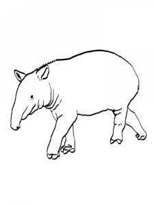 Tapir coloring page - picture 19
