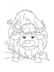 Yak coloring page - picture 11