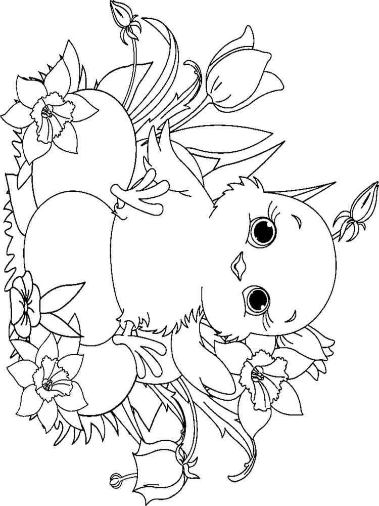 baby chick coloring pages - photo #35