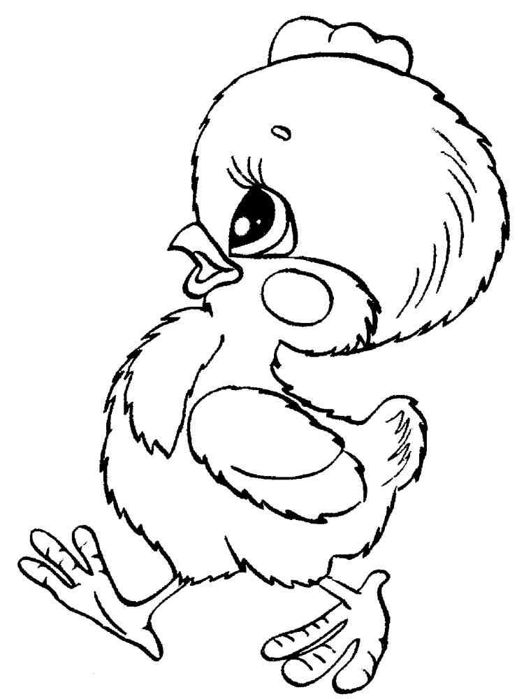 baby chicks coloring pages printable - photo #9