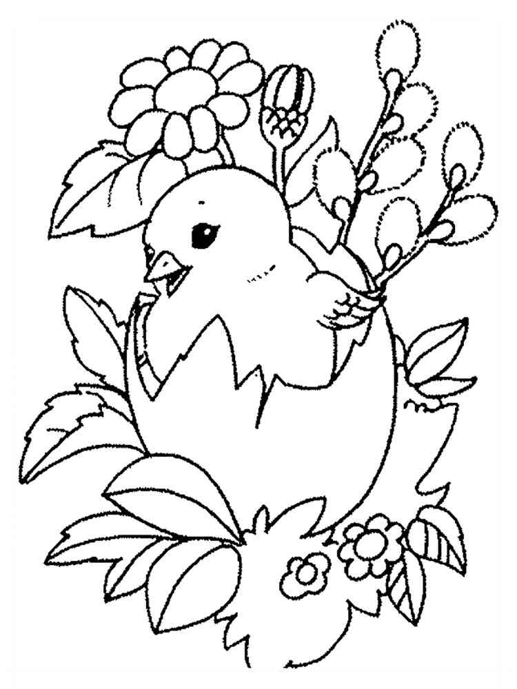 baby chicks coloring pages printable - photo #28