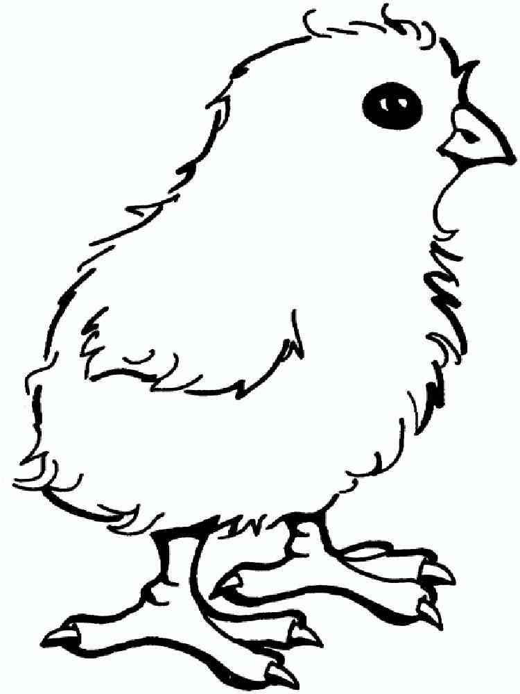 baby chicks printable coloring pages - photo #15