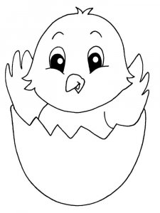 Baby chick coloring page - picture 10