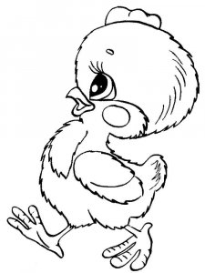 Baby chick coloring page - picture 12
