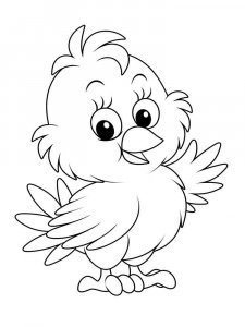 Baby chick coloring page - picture 16