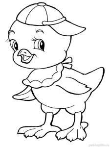 Baby chick coloring page - picture 2