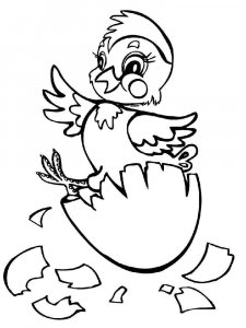 Baby chick coloring page - picture 5