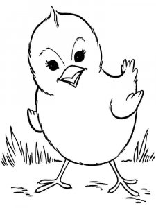 Baby chick coloring page - picture 7