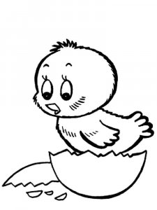 Baby chick coloring page - picture 9