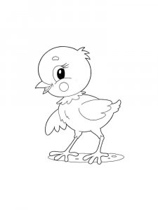 Baby chick coloring page - picture 27