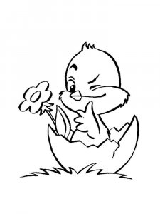 Baby chick coloring page - picture 23