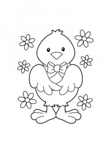 Baby chick coloring page - picture 24