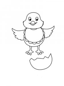 Baby chick coloring page - picture 25