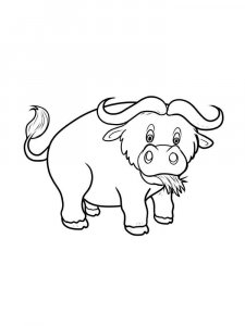 Buffalo coloring page - picture 4