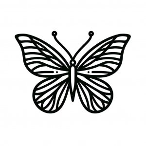 Butterfly coloring page - picture 13
