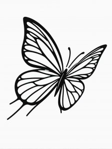 Butterfly coloring page - picture 14