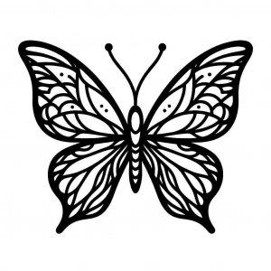 Butterfly coloring page - picture 16