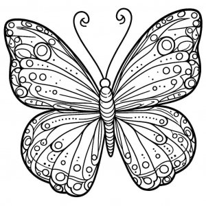 Butterfly coloring page - picture 17