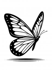 Butterfly coloring page - picture 22