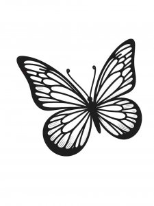 Butterfly coloring page - picture 23
