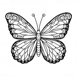 Butterfly coloring page - picture 25