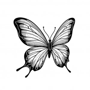 Butterfly coloring page - picture 26