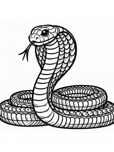 Cobra coloring page - picture 44