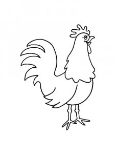 Chicken coloring page - picture 1