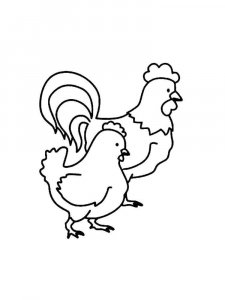 Chicken coloring page - picture 12