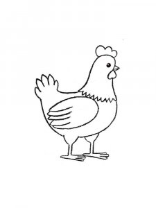 Chicken coloring page - picture 13