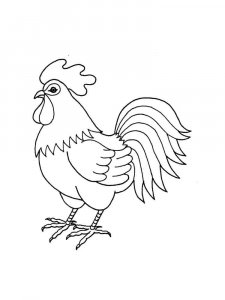 Chicken coloring page - picture 16
