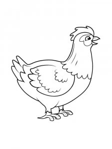 Chicken coloring page - picture 8