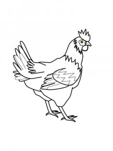 Chicken coloring page - picture 9
