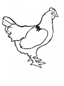 Chicken coloring page - picture 29