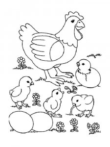 Chicken coloring page - picture 30